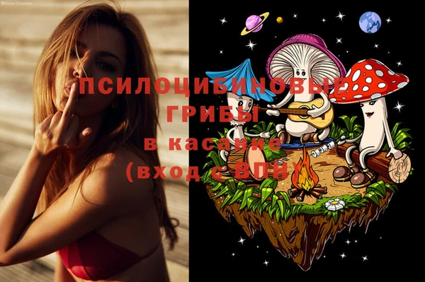 ПСИЛОЦИБИНОВЫЕ ГРИБЫ Магадан