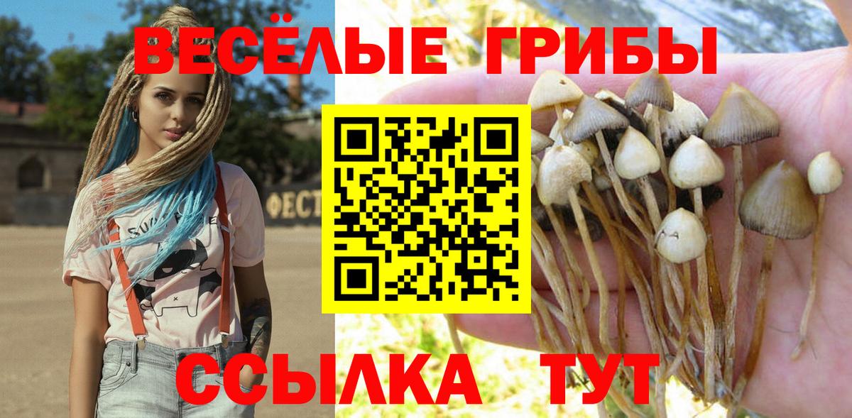 Псилоцибиновые грибы мухоморы  Псилоцибиновые грибы Magic Shrooms  Астрахань  Вход с VPN 