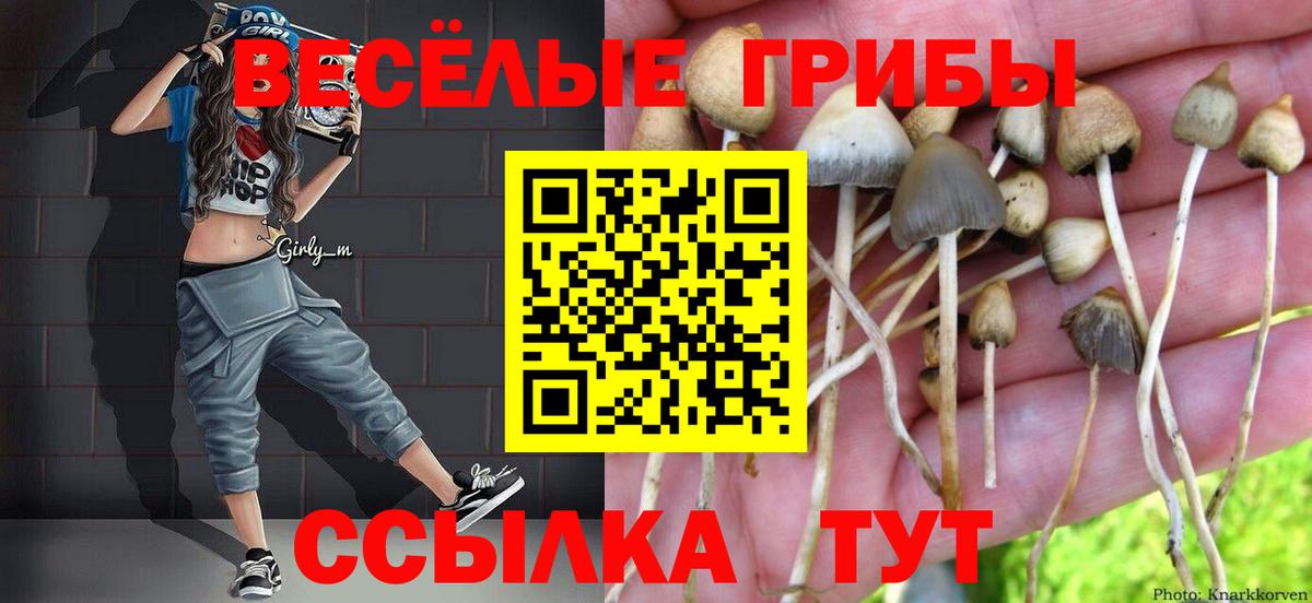 Псилоцибиновые грибы GOLDEN TEACHER Астрахань