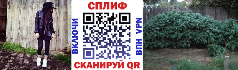 МАРИХУАНА план  Астрахань 